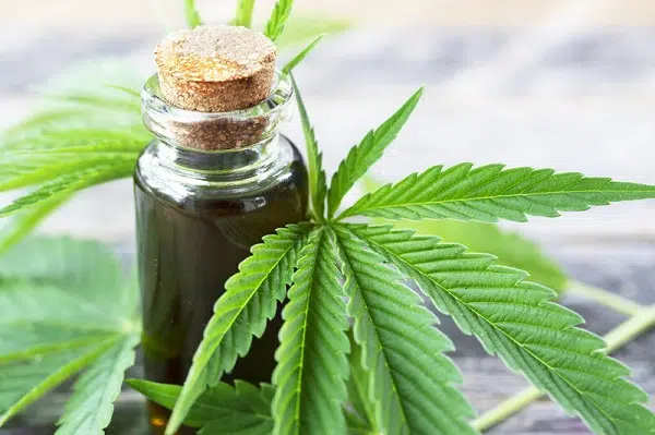 Où puis-je commander du CBD ?