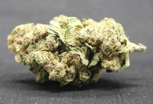 Où trouver du cannabidiol à Nantes ?
