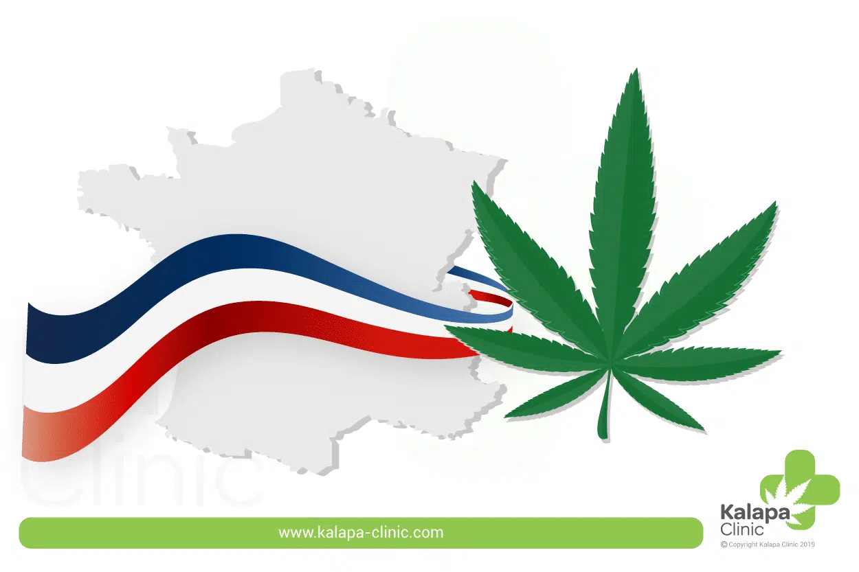 Comment acheter du CBD en France ?