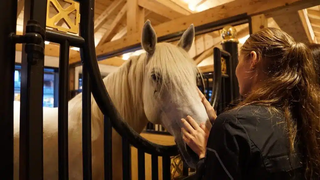 Pourquoi nourrir ses chevaux avec des produits floconnés ?