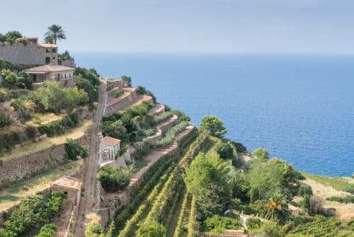 Découvrir Palma de Majorque : les plus beaux sites à ne pas manquer