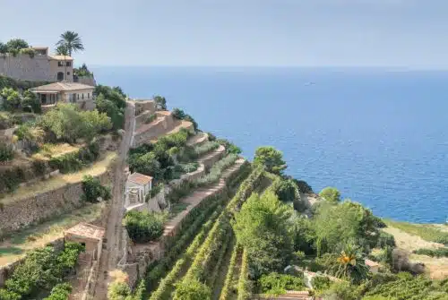 Découvrir Palma de Majorque : les plus beaux sites à ne pas manquer