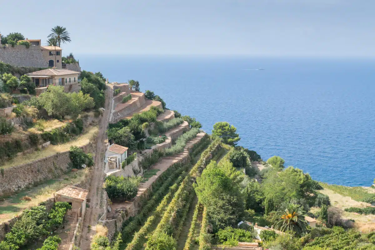 Découvrir Palma de Majorque : les plus beaux sites à ne pas manquer