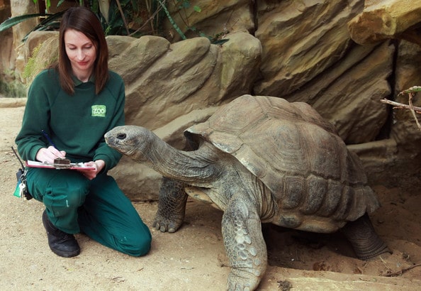 Quel bac pour devenir soigneur animalier ?